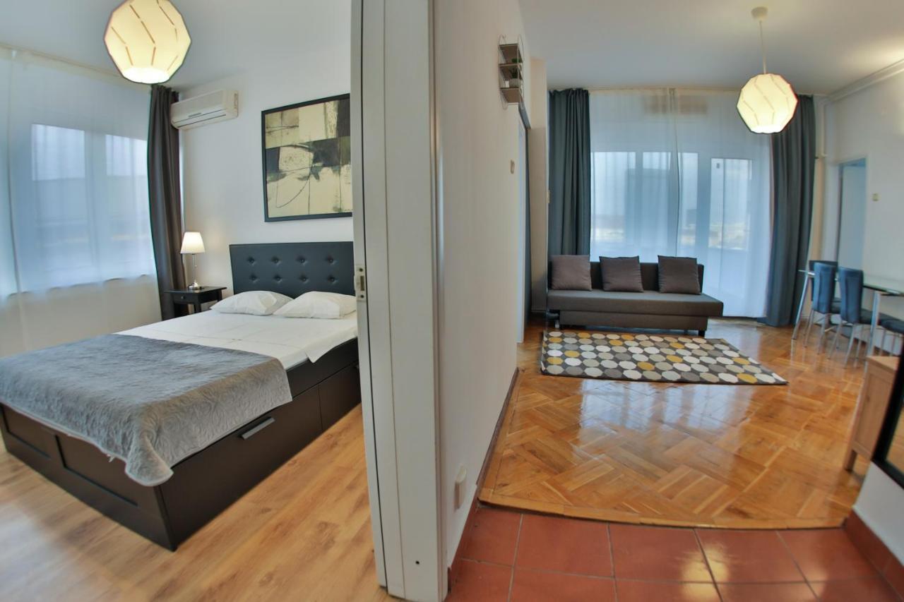 Color Nicolae Tonitza St Apartment